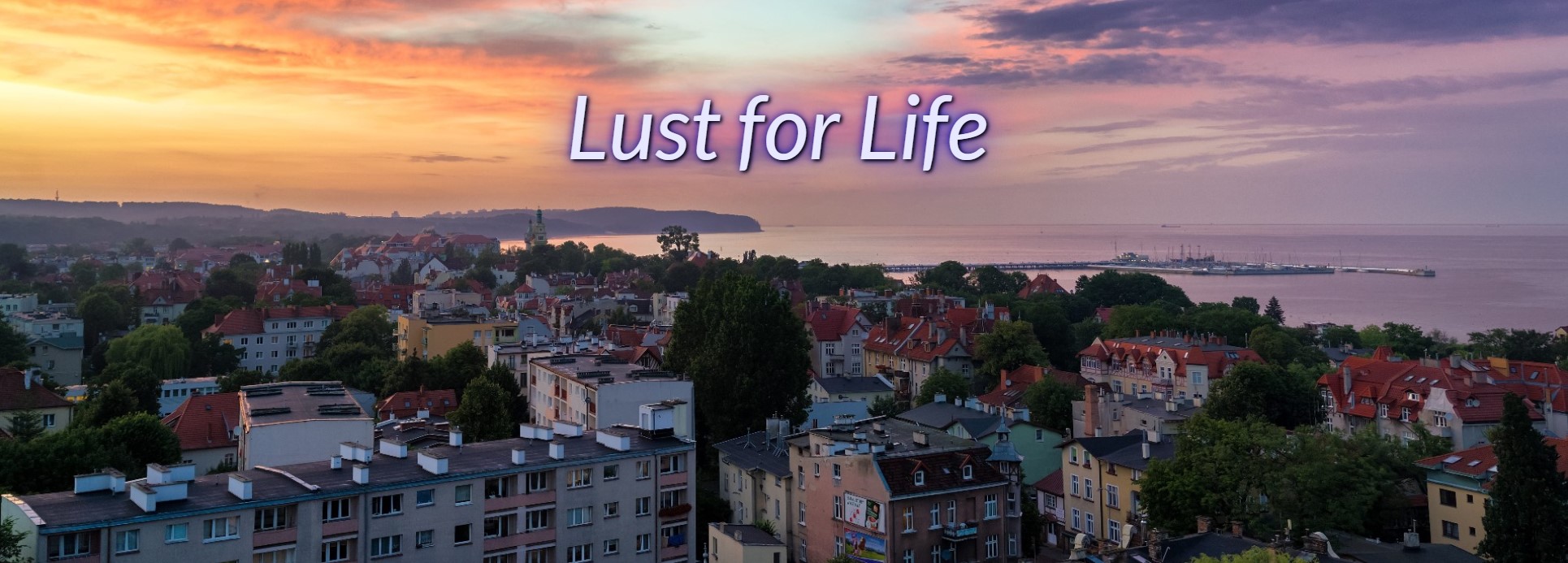 [现实真人HTML浏览器汉化]对生活的渴望 Lust for Life [v0.35][电脑3.32G/FM/BD]  游戏资源